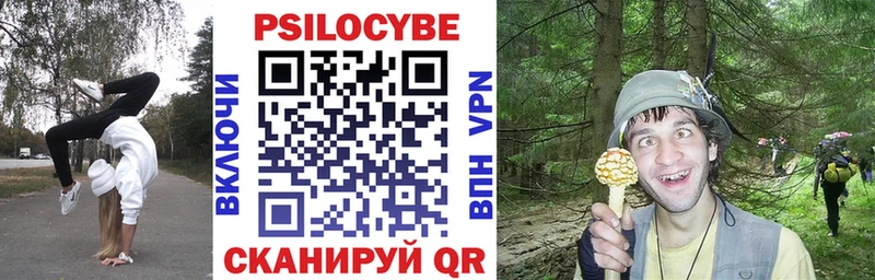 mega tor  Вышний Волочёк  Галлюциногенные грибы MAGIC MUSHROOMS 